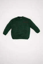 DEFACTO Baby Boy Crew Neck Printed Knitwear Sweater