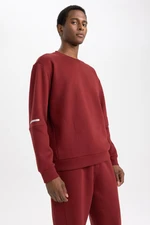 DEFACTO Fit Standard Fit Crew Neck Thick Sweatshirt