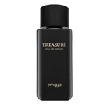 Zimaya Treasure parfémovaná voda pro muže 100 ml