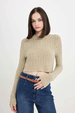 DEFACTO Regular Fit Crop Crew Neck Knitted Hole Knitwear Sweater