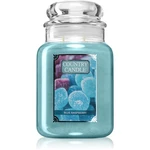 Country Candle Blue Raspberry vonná sviečka 680 g