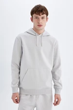 DEFACTO Men's Gray Pocketed Regular Fit Hooded Basic Sweatshirt