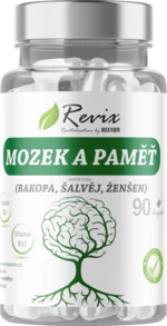 REVIX Mozek 90 kapslí 90 tobolek