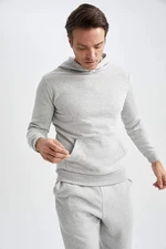 DEFACTO Regular Fit Sweatshirt