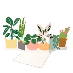 Kartka Potted Plant – Meri Meri