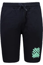 Trendyol Navy Blue Men's Regular Shorts & Bermuda
