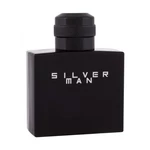 Jeanne Arthes Silver Man 100 ml toaletní voda pro muže