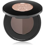 Anastasia Beverly Hills Brow Powder Duo púder na obočie odtieň Ash Brown 2x0,8 g