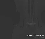 Nightfox Audio Nightfox Audio String Central (Produs digital)