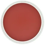 PanPastel 9ml – 340.3 Permanent Red Shade