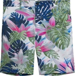 J.Lindeberg Tim Print Shorts Oil Green 36 Pantalones cortos