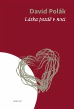 Láska pozdě v noci - David Polák