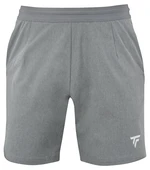 Pánské šortky Tecnifibre  Club Short Silver XXL