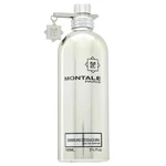 Montale Embruns d'Essaouira parfémovaná voda unisex 100 ml