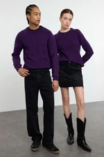 Trendyol Purple Unisex Slim Crew Neck Textured Knitwear Sweater