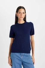 DEFACTO Regular Fit Crew Neck Hair Knit Short Sleeve Sweater