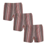 3PACK Classic men's boxer shorts Foltýn red stripes