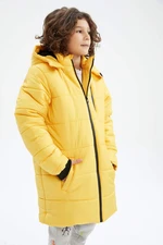 DEFACTO Hooded Plush Coat/Parka