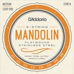 D'Addario EFW74