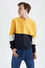 DEFACTO Regular Fit Long Sleeve Sweatshirt