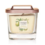 Yankee Candle Aromatická svíčka malá hranatá Citrus Grove 96 g