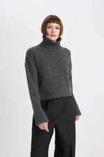 DEFACTO Crop Turtleneck Ribana Pullover