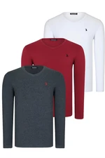 TRIPLE SET T8587 DEWBERRY V-NECK MEN'S SWEATSHIRT-WHITE-ANTHRACITE-BURGUNDY