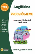 Procvičujeme - Angličtina