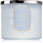 Bath & Body Works Eucalyptus Snowfall vonná sviečka 411 g