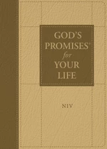 God's Promises for Your Life