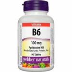 VITAMIN B6 (PYRIDOXIN) 100MG 90TBL 3126 WN