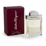 SALVATORE FERRAGAMO Pour Homme Toaletní voda 100 ml