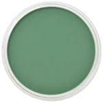 PanPastel 9ml – 640.3 Permanent Green Shade