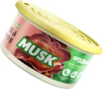 Natural Fresh Vůně do auta Organic plechovka s víčkem Musk 42 g