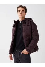 LC Waikiki Standard Mold Hooded Men's Puffer Coat