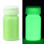 15/30g/Bottle Fluorescent Pigment Long-Lasting Luminous Paints Auto Glow Glow In Dark Acrylic Paints For Artwork Party Supplies