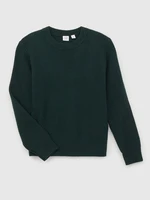 GAP Children's sweater CashSoft - Boys