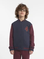 Boys' cotton sweatshirt