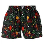 Men's boxer shorts Represent exclusive Ali mistletoe