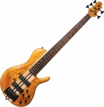 Cort A5 Plus SC Amber Open Pore Basse 5 cordes