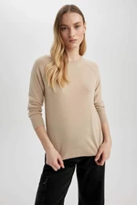 DEFACTO Regular Fit Crew Neck Pullover