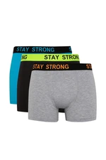 DEFACTO Regular Fit 3-Pack Boxer