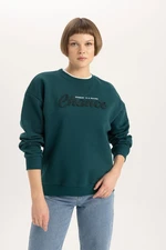 DEFACTO Relax Fit Crew Neck Thick Sweatshirt