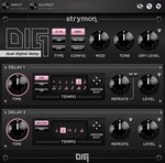 Strymon DIG (Produkt cyfrowy)