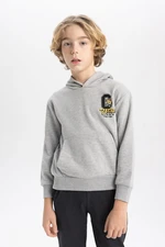 DEFACTO Boy's Printed Hooded Thick Sweatshirt