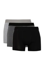 DEFACTO Regular Fit 3-Pack Boxer