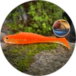 Redbass gumová nástraha ripper kicker orange g uv - l 100 m