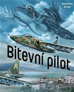 Bitevní pilot - Rostislav Stroin