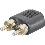 Cinch / jack audio Y adaptér SpeaKa Professional SP-7869756, černá