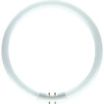 Kruhová zářivka Philips MASTER TL5 Circular 55W/840 T5 2GX13 neutrální bílá 4000K